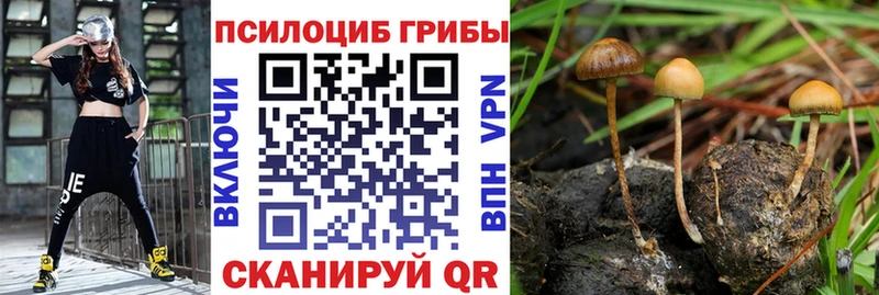 Псилоцибиновые грибы Magic Shrooms  Владикавказ 